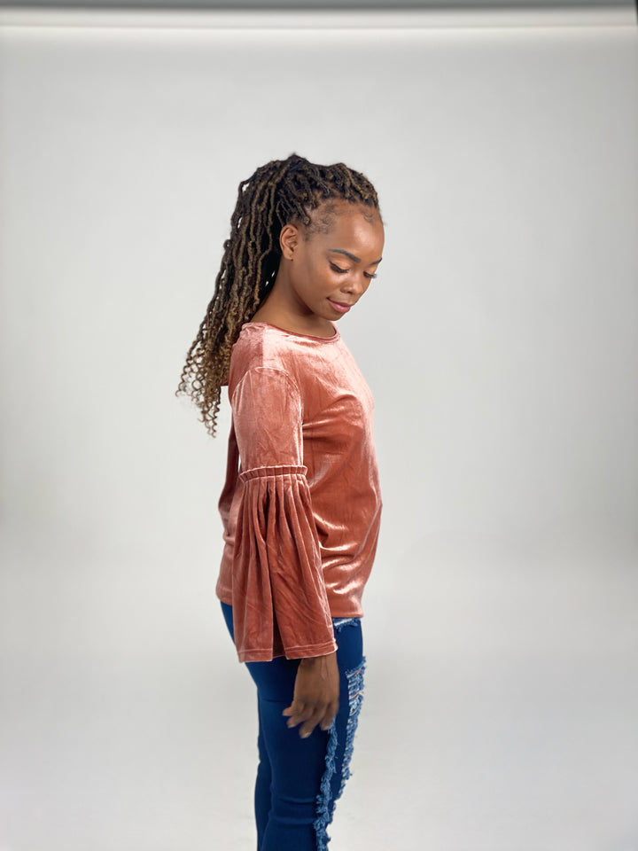 Pleated Velvet Sleeve Top