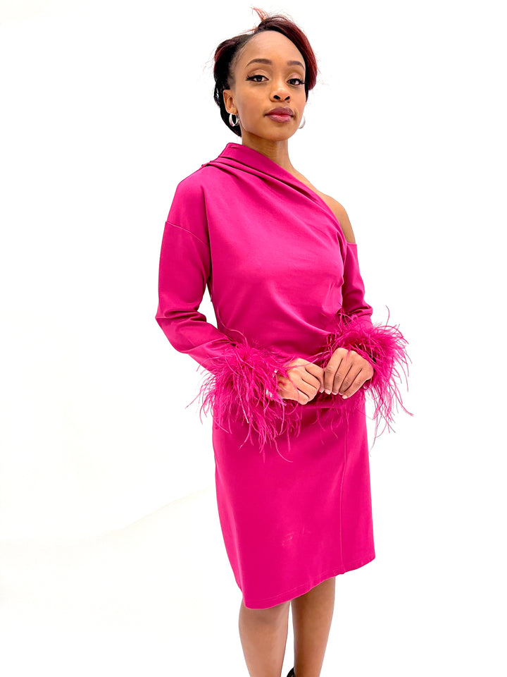 Sassyn Pink Designer Feather Dress