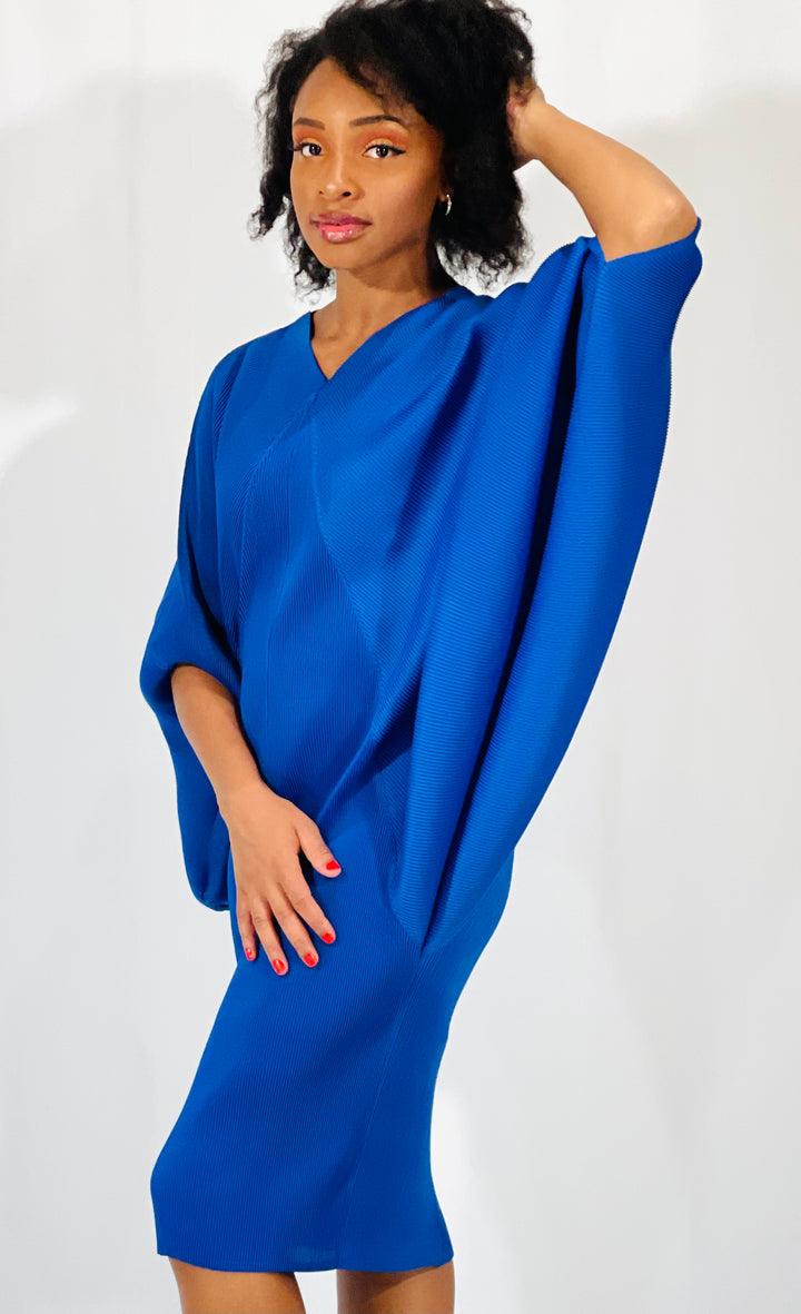 Sassyn Blue Bat wing Sleeve Dress