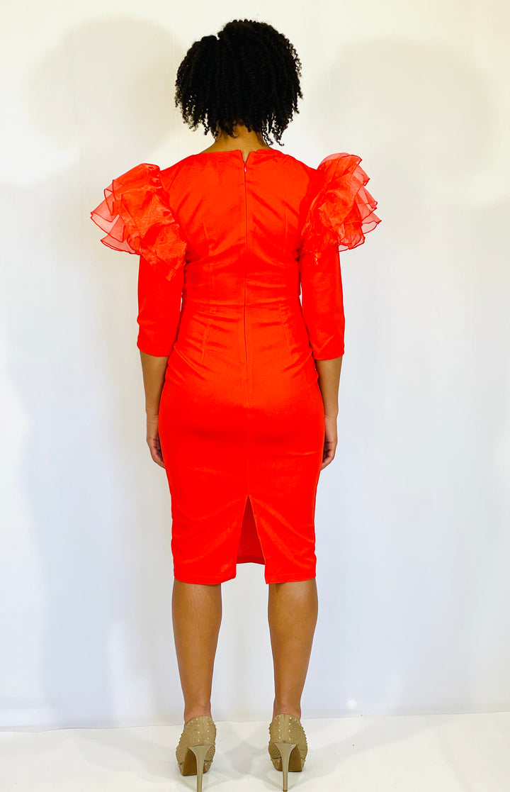 Sassyn Trendy Neck Ruffle Dress
