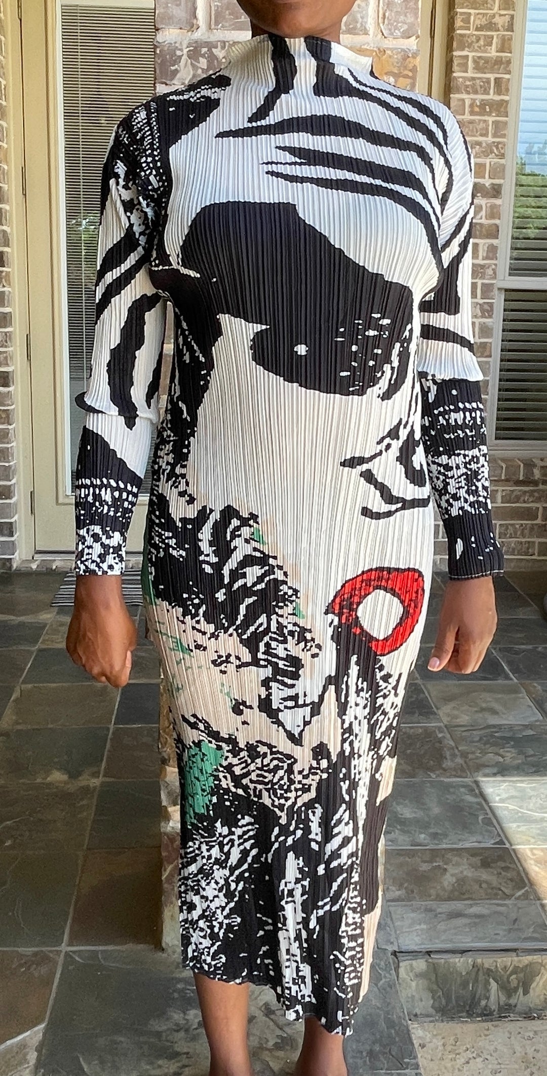 Sassyn Stiff Collar Print Dress