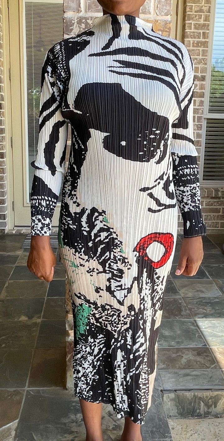Sassyn Stiff Collar Print Dress
