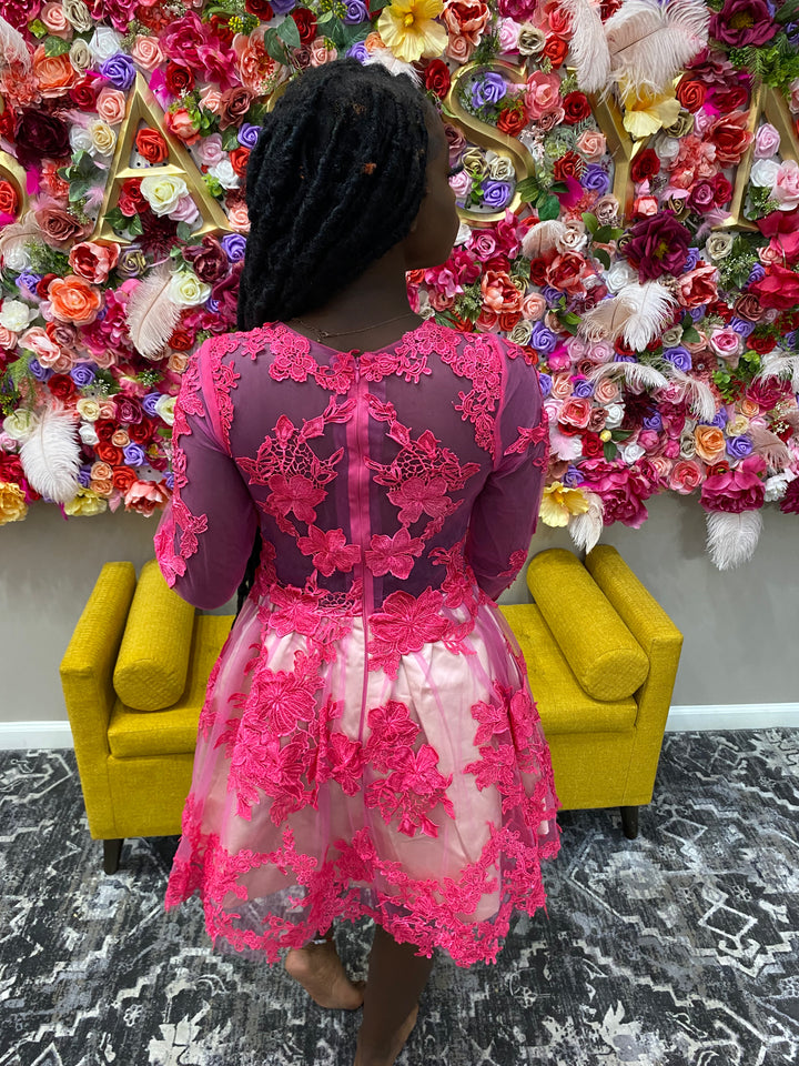 Pink Lace Embroidered Dress