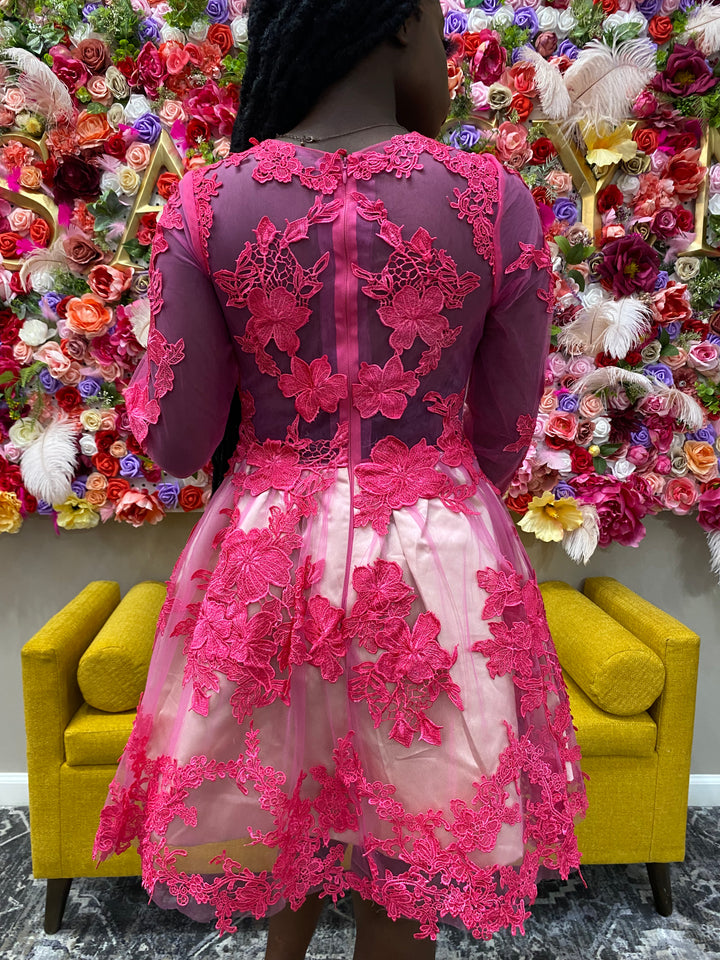 Pink Lace Embroidered Dress