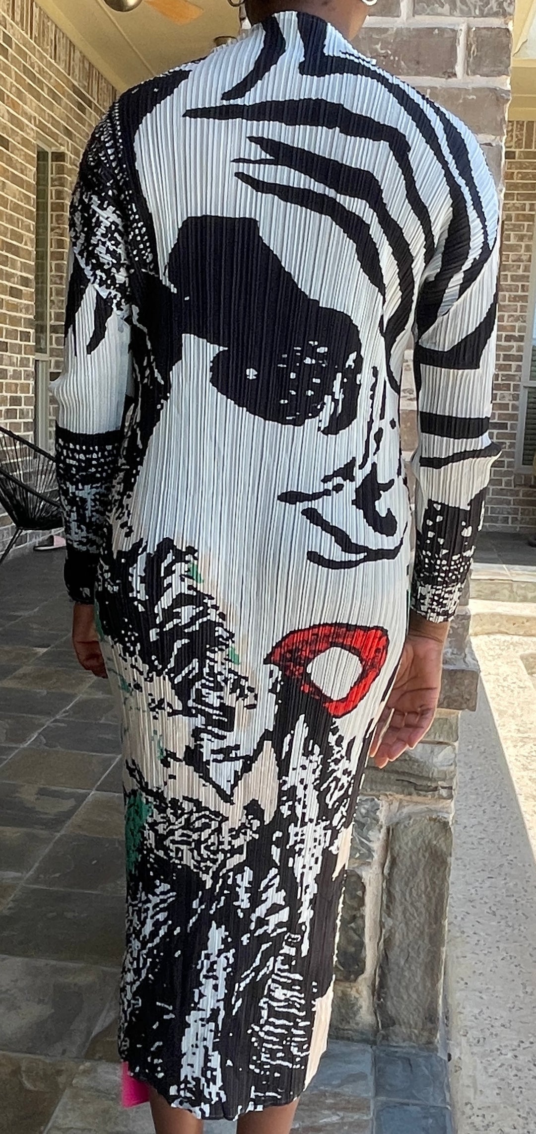 Sassyn Stiff Collar Print Dress