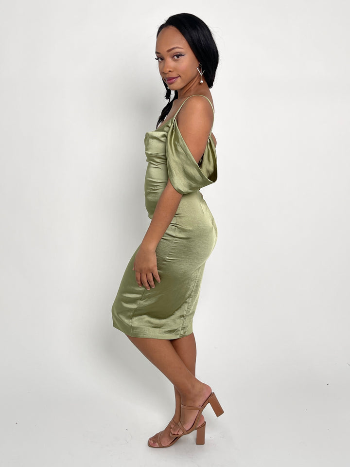 Olive Elegant Dress