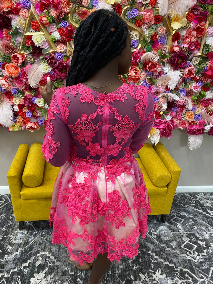 Pink Lace Embroidered Dress