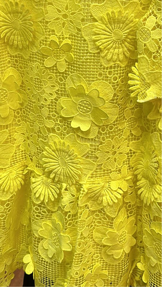 Lemon 3D Crotchet Mini Dress