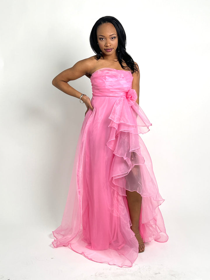 Pink Maxi Mesh Dress